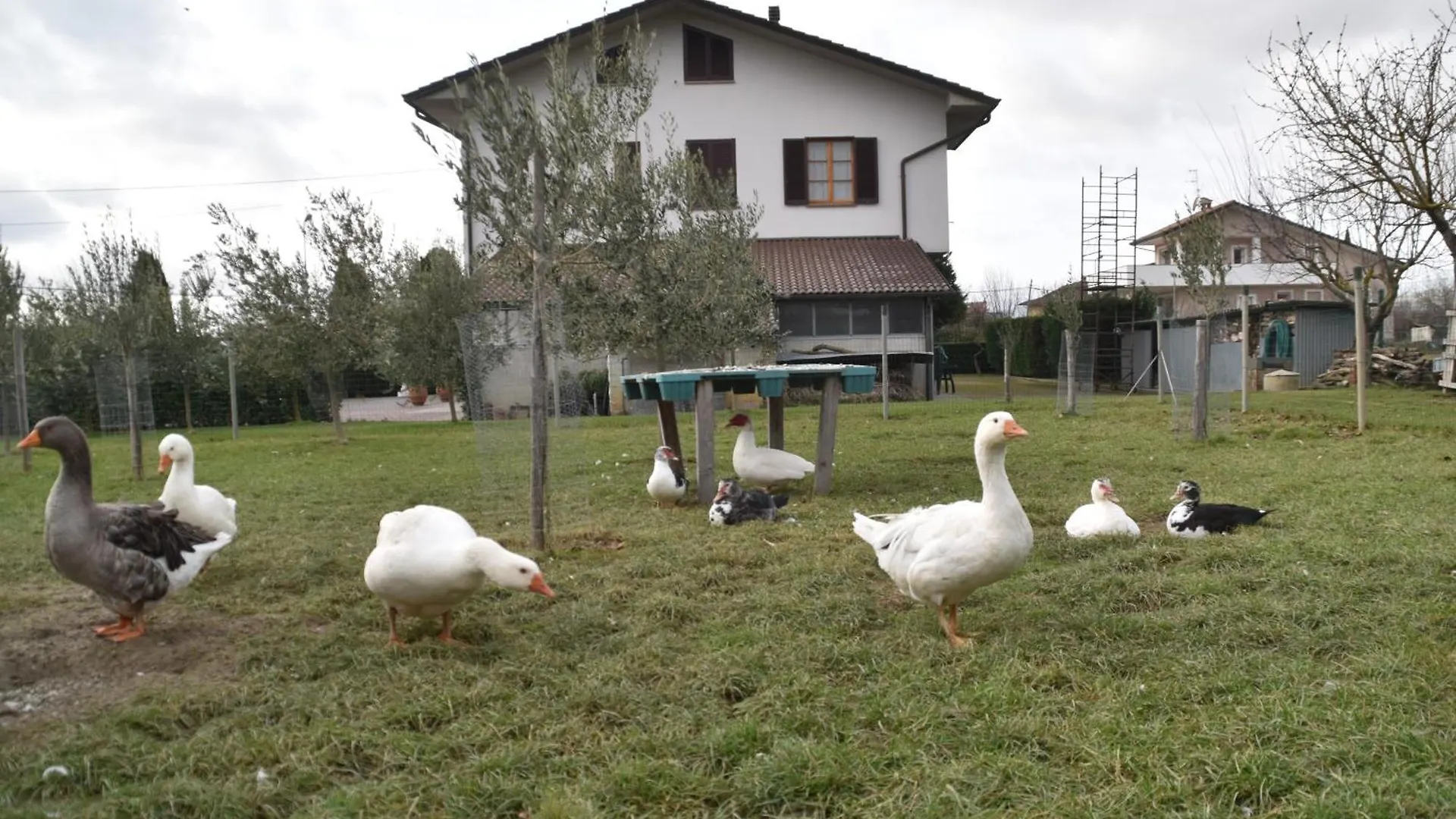 Villa Gaia Truffle Experience Sansepolcro 0*,