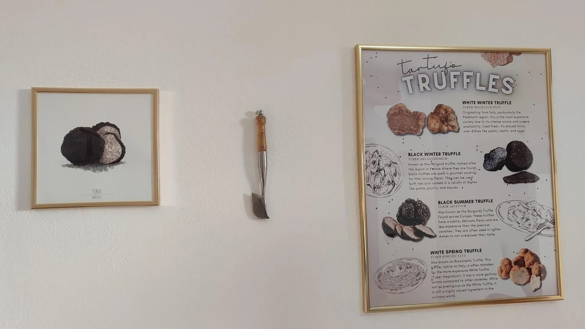 Villa Gaia Truffle Experience Sansepolcro